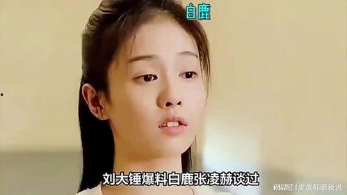 白鹿和张凌赫圈内爆料,揭秘娱乐圈背后的真实故事 第1张 白鹿和张凌赫圈内爆料,揭秘娱乐圈背后的真实故事 第1张